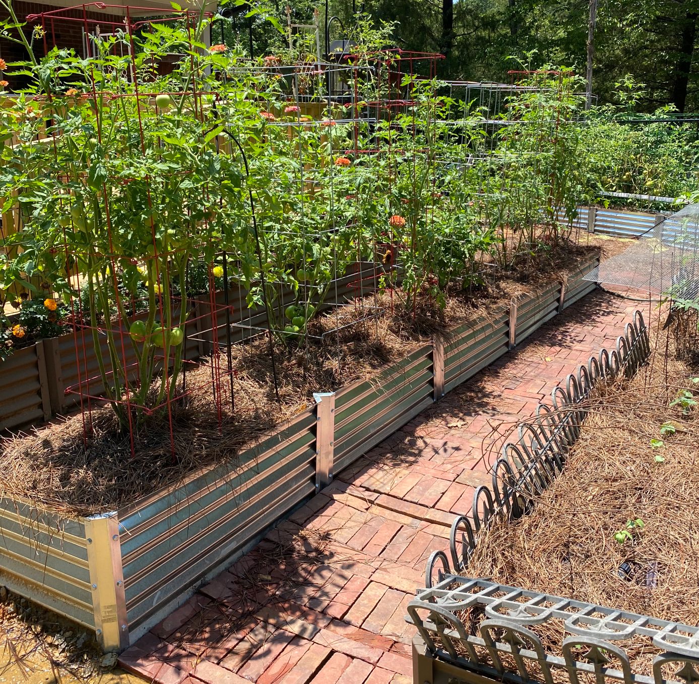 narrow sandia alt view 2