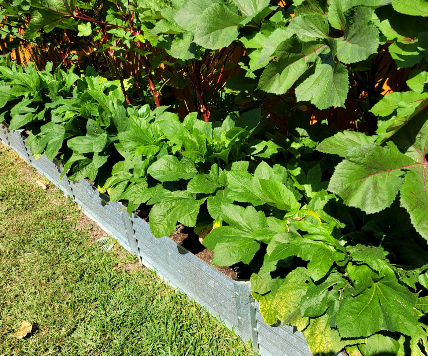 narrow extenders with okra