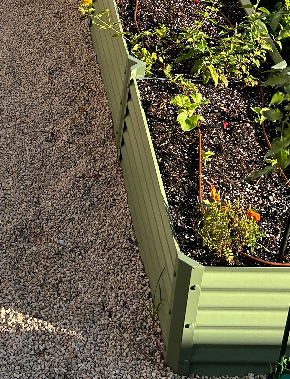 narrow sage sandia raised bed