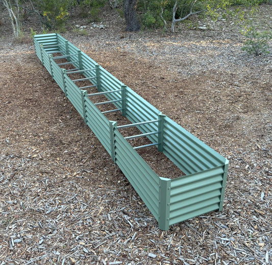 narrow sage zapallo garden bed