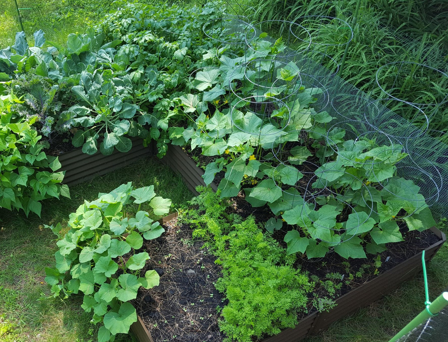 rustic mezcla alt view 2