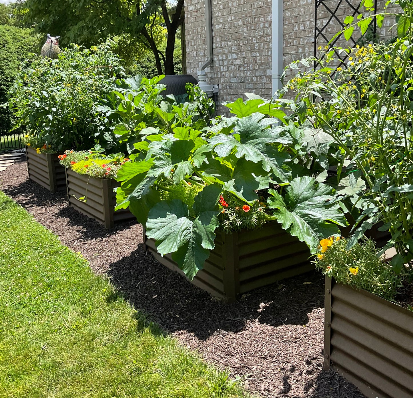 rustic cuadra garden bed in side yard