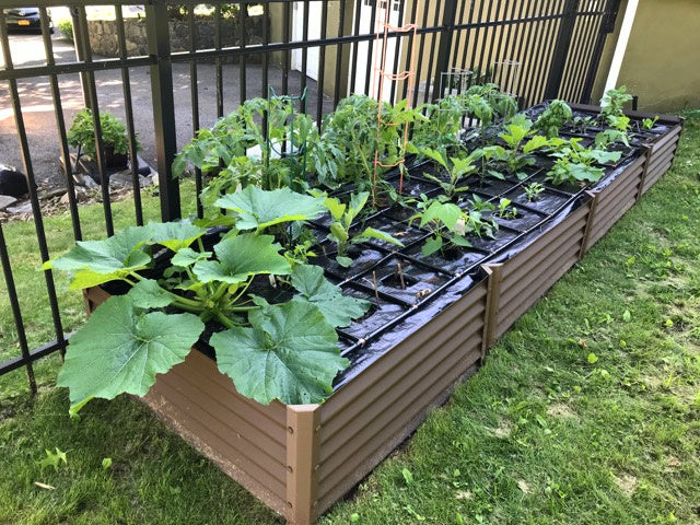 rustic fresa raised garden with squash