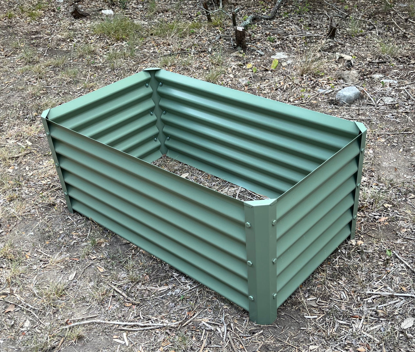 salvia garden bed installed