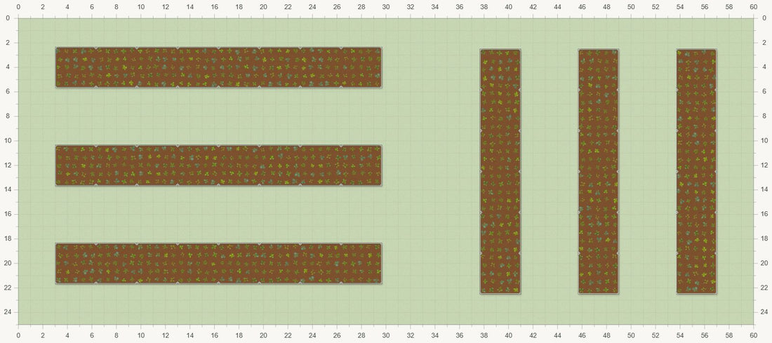 60' × 25' Garden Plan