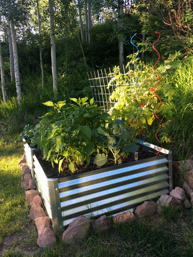 rocky mountain raised beds