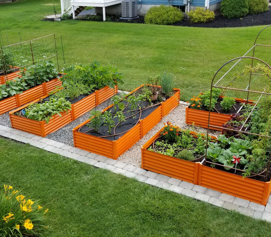 color and cultivation