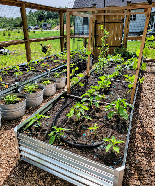 gentle art of watering