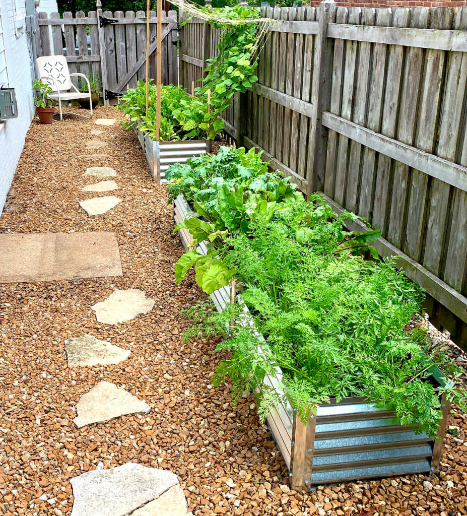 fence line raised garden beds