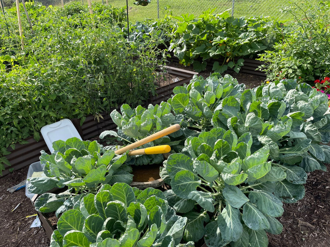 garden that gives back