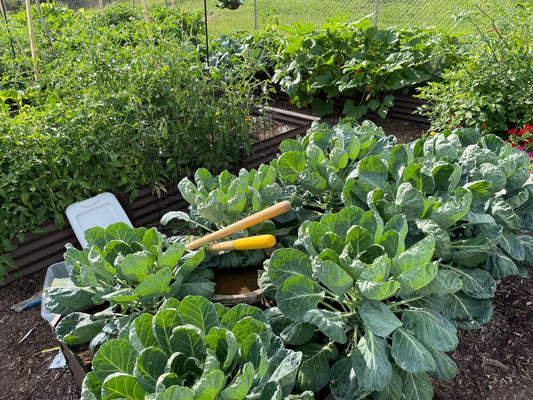 garden that gives back