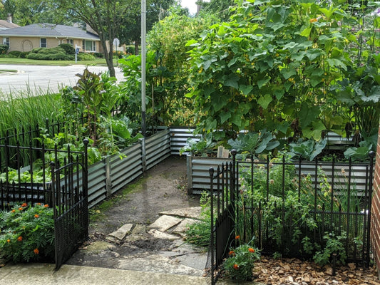 privacy fencing