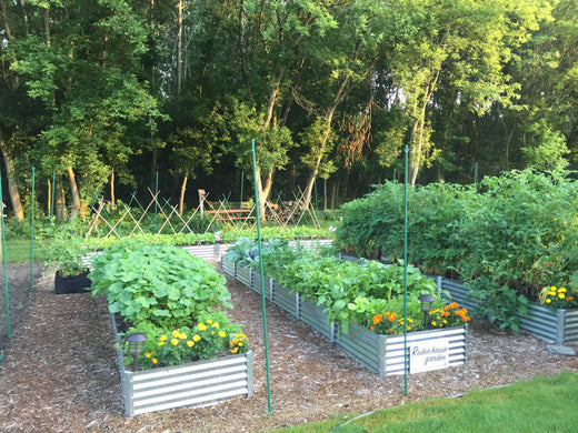 north carolina garden beds