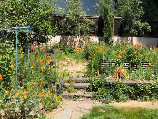 pollinator appeal