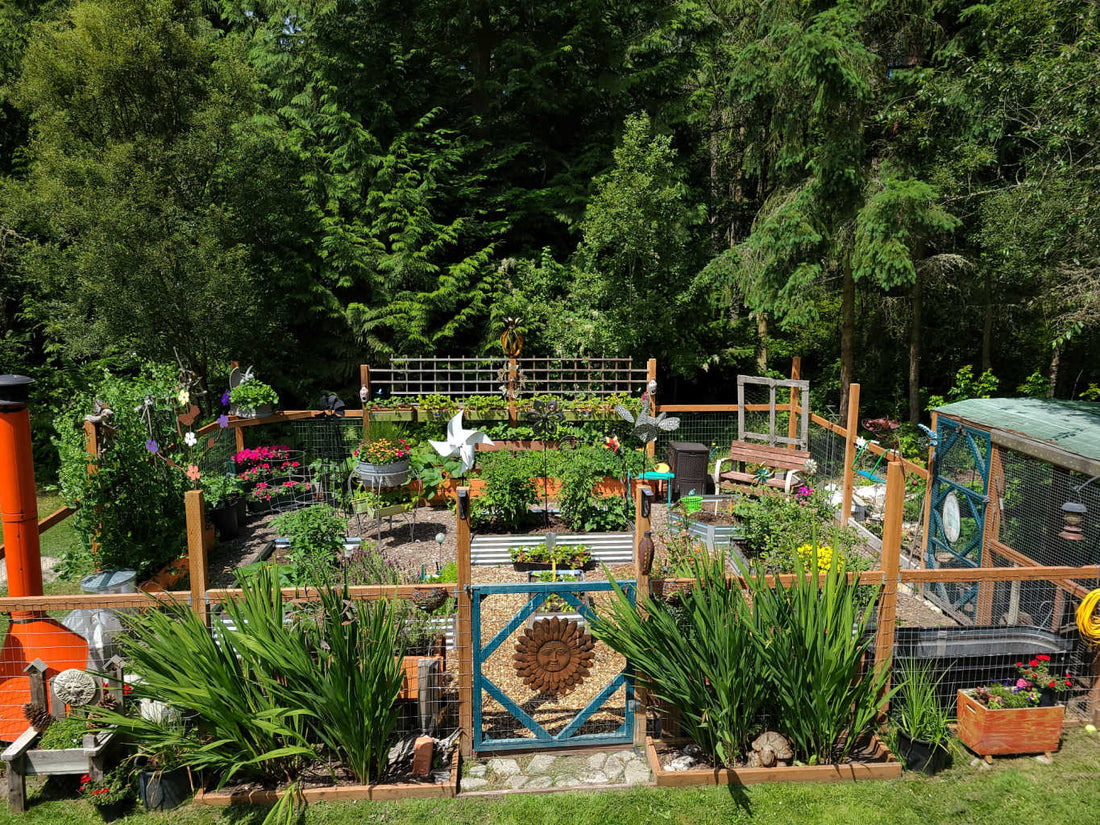 productive garden with minimal work