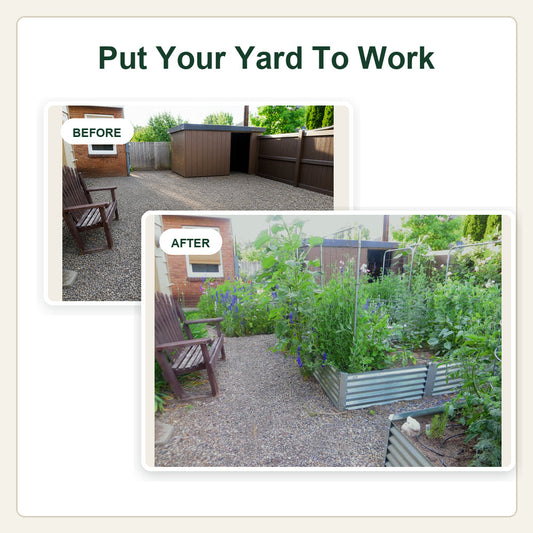 night gardens