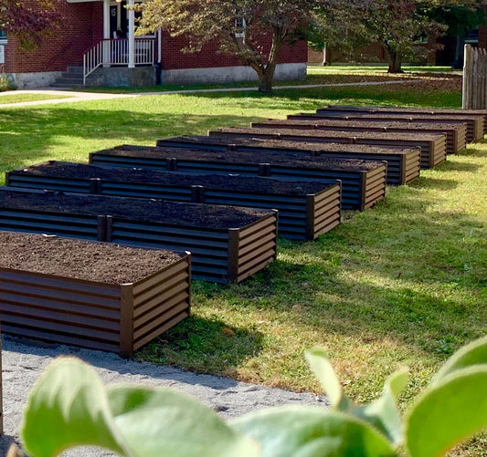 rustic largos filled to the top with soil
