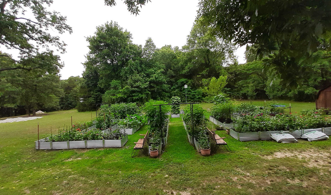 raised beds for poor soil conditions