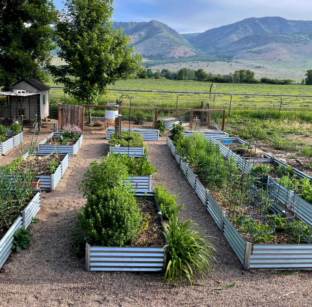 regenerative farming