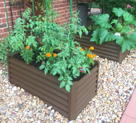container gardening in small spaces