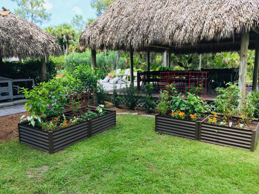 bahamian garden bed