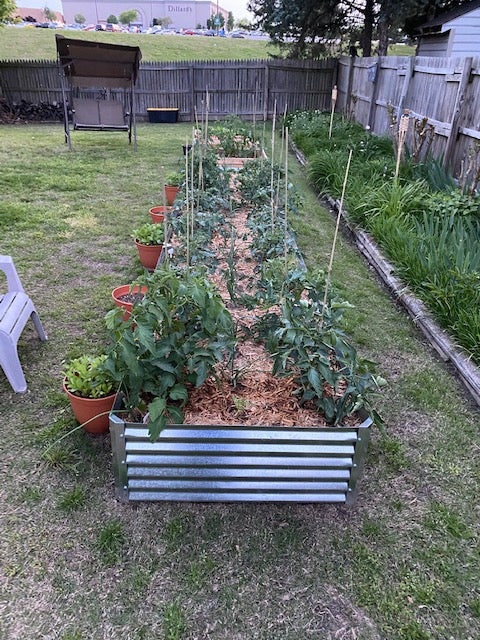 victory gardens