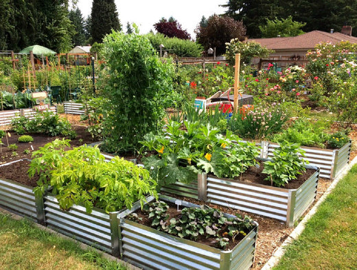 washington state garden beds