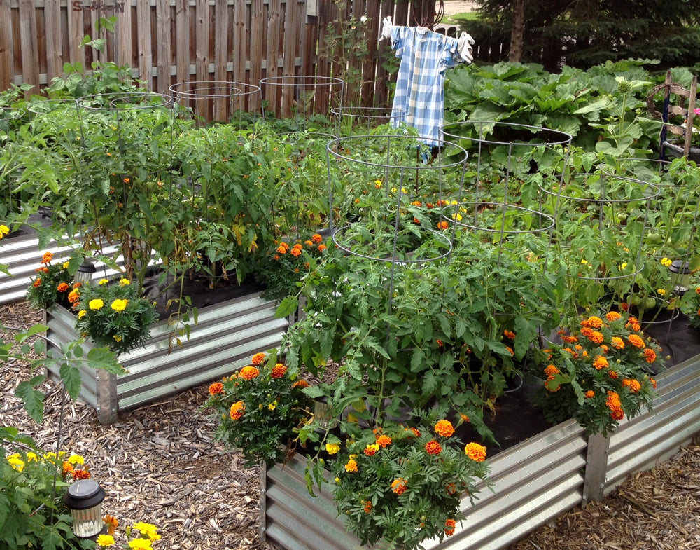 Metal Garden Beds - Be Your Own Farmer – Metal Garden Beds, Inc.