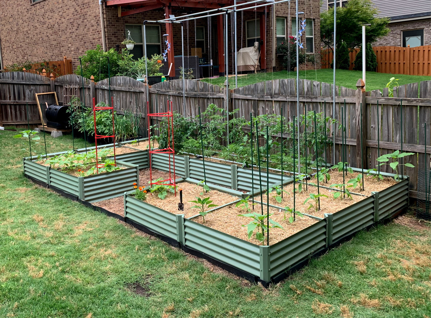 sage completo raised bed with peppers, tomatoes