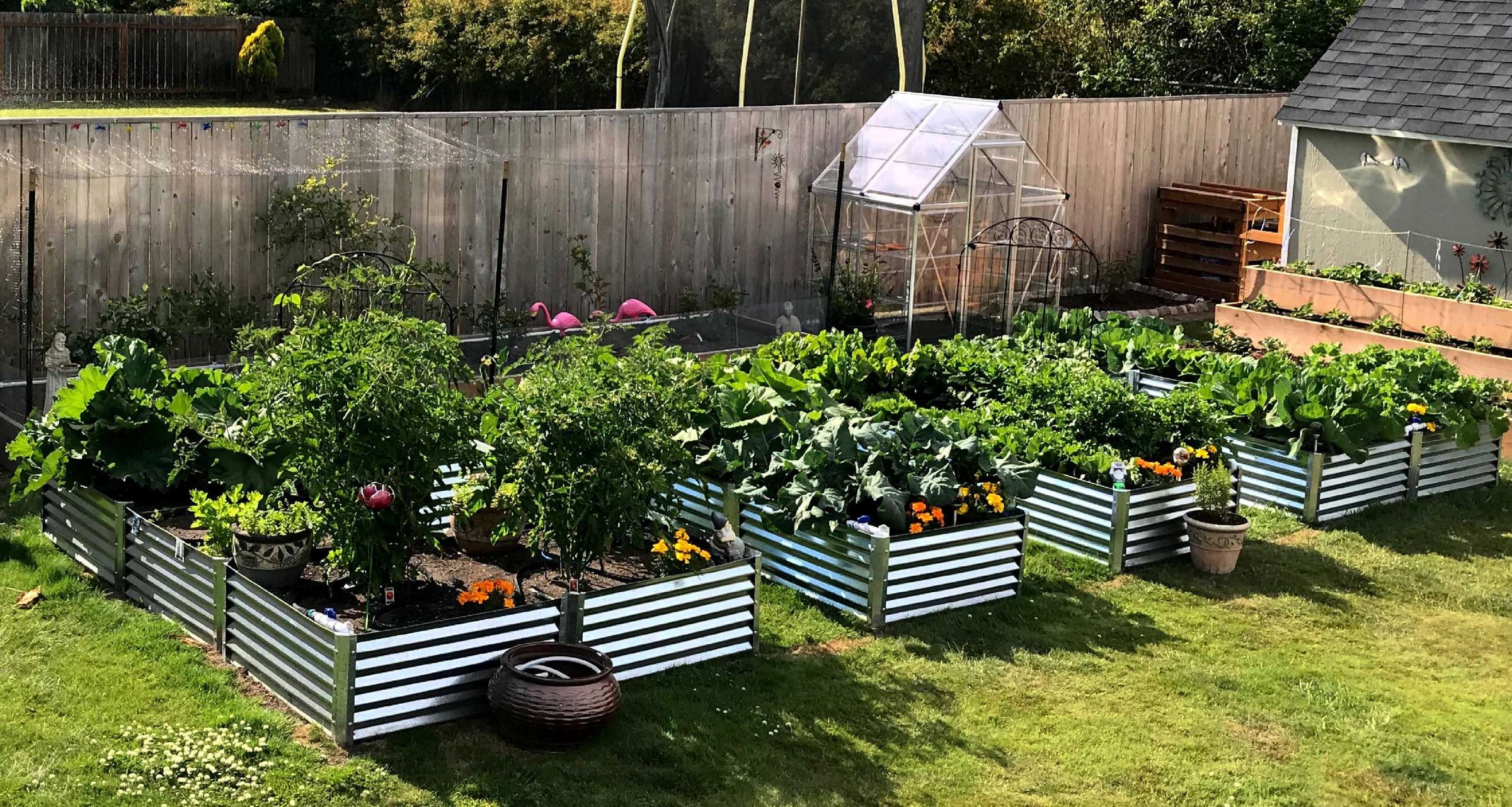 Metal garden beds in a backyard garden