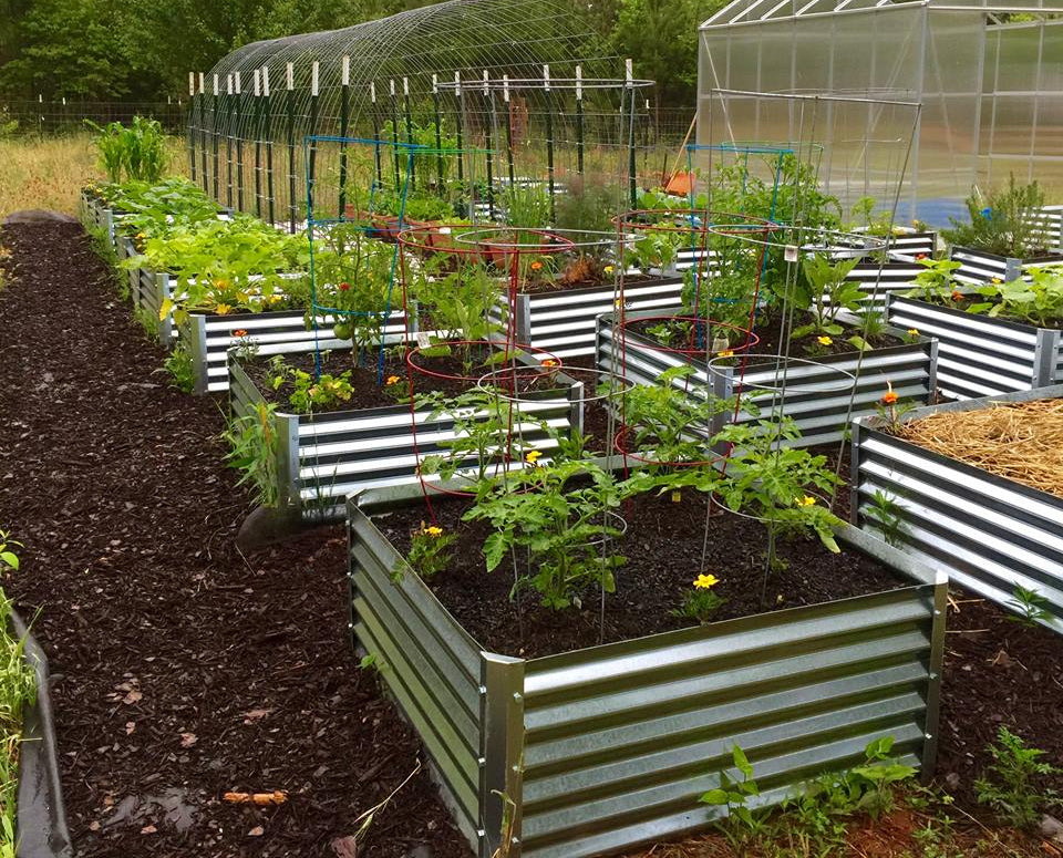 cuadra garden beds