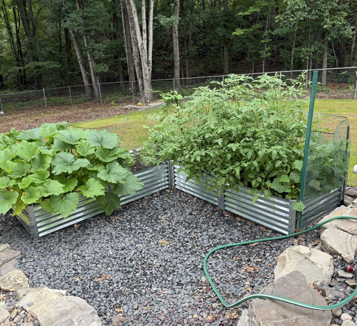 Long L garden bed