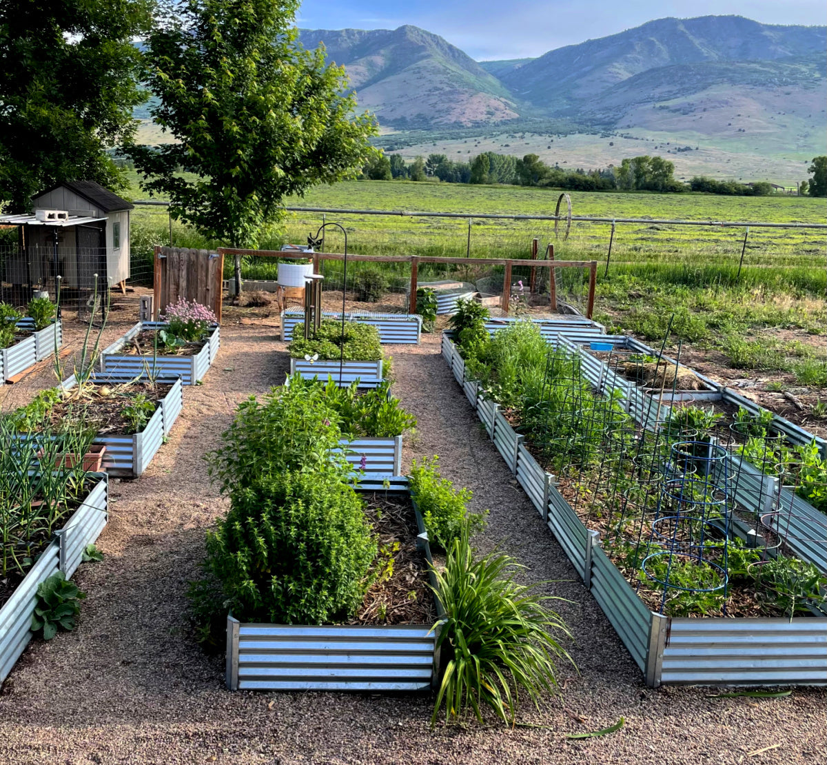 metal garden beds in the mountains