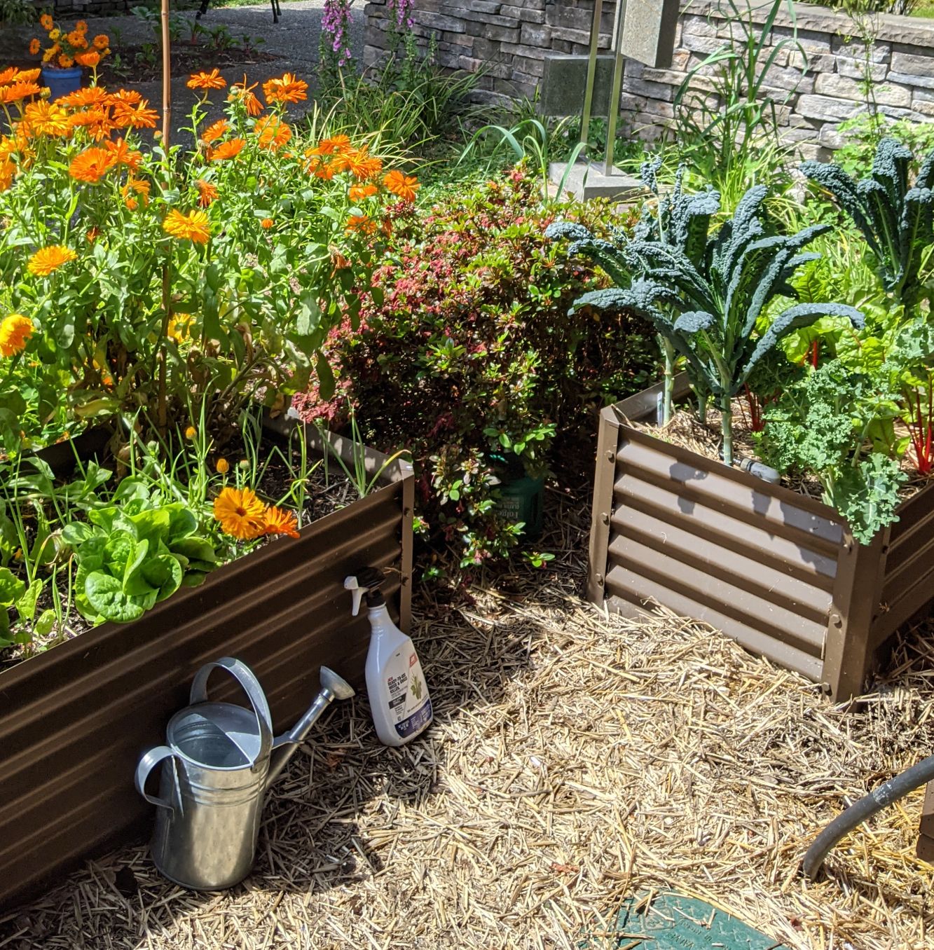 narrow rustic medio in garden