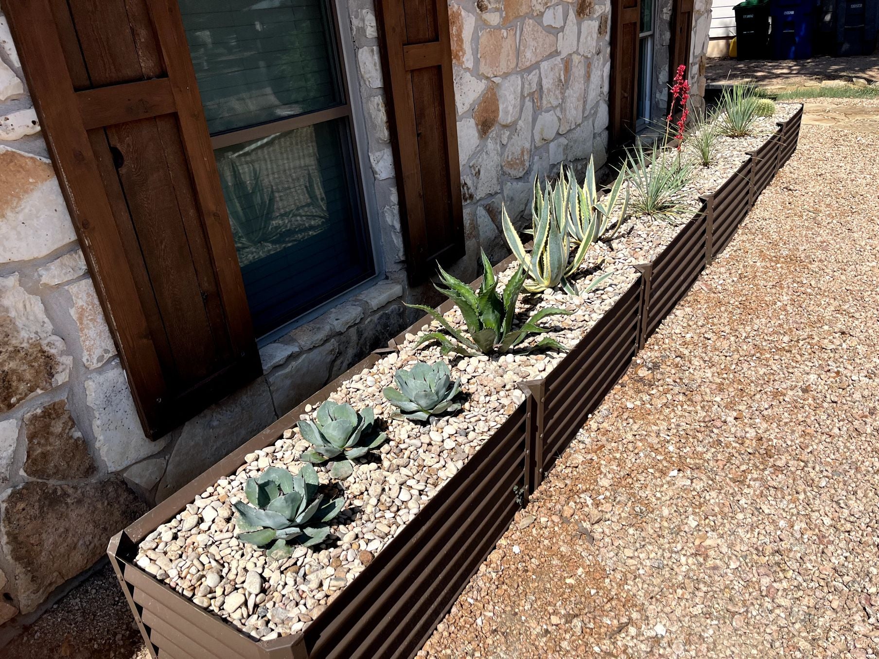 narrow rustic zapallo cactus garden