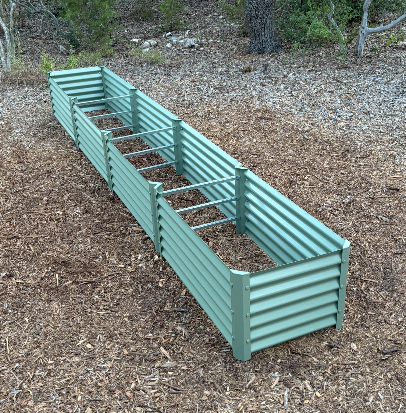 narrow sage fresa garden bed
