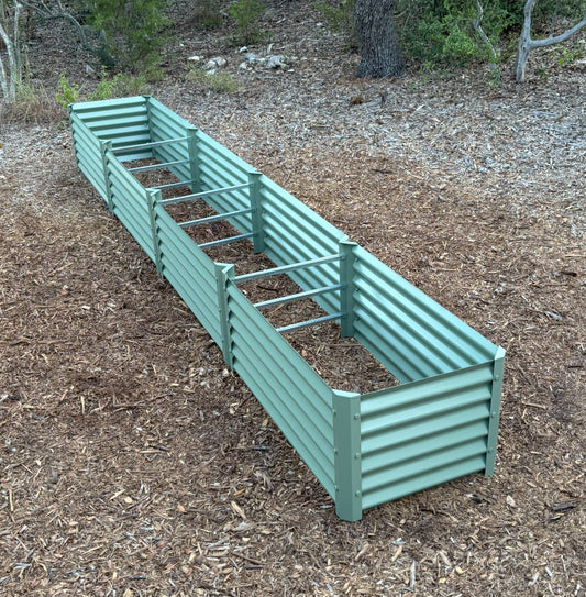 narrow sage fresa garden bed