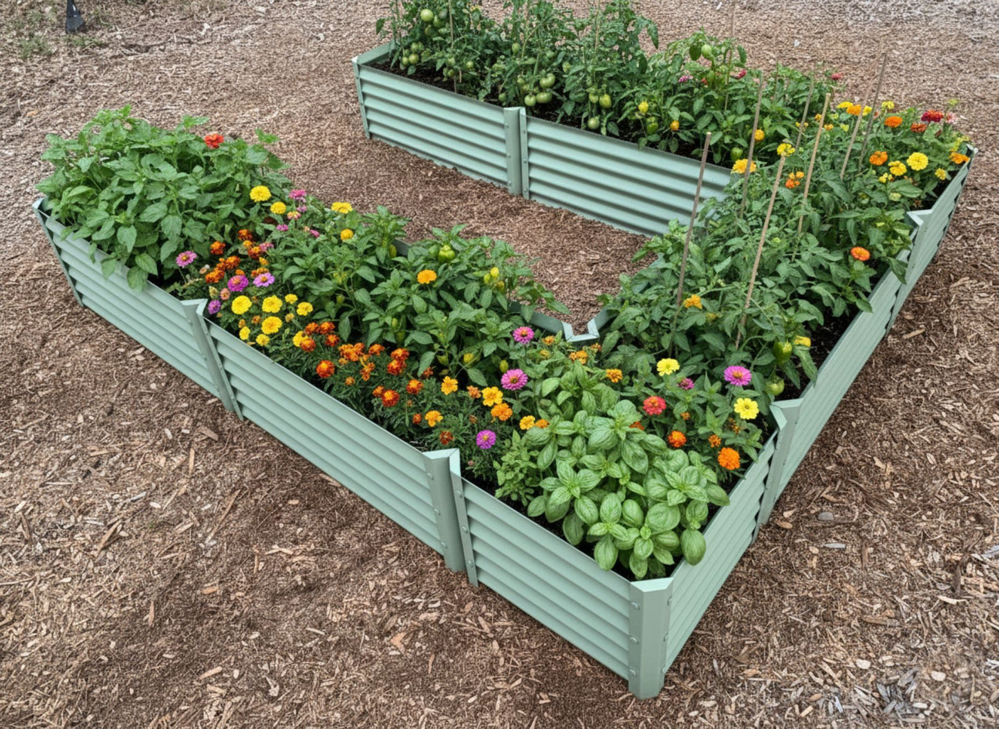 narrow sage long u enhanced view