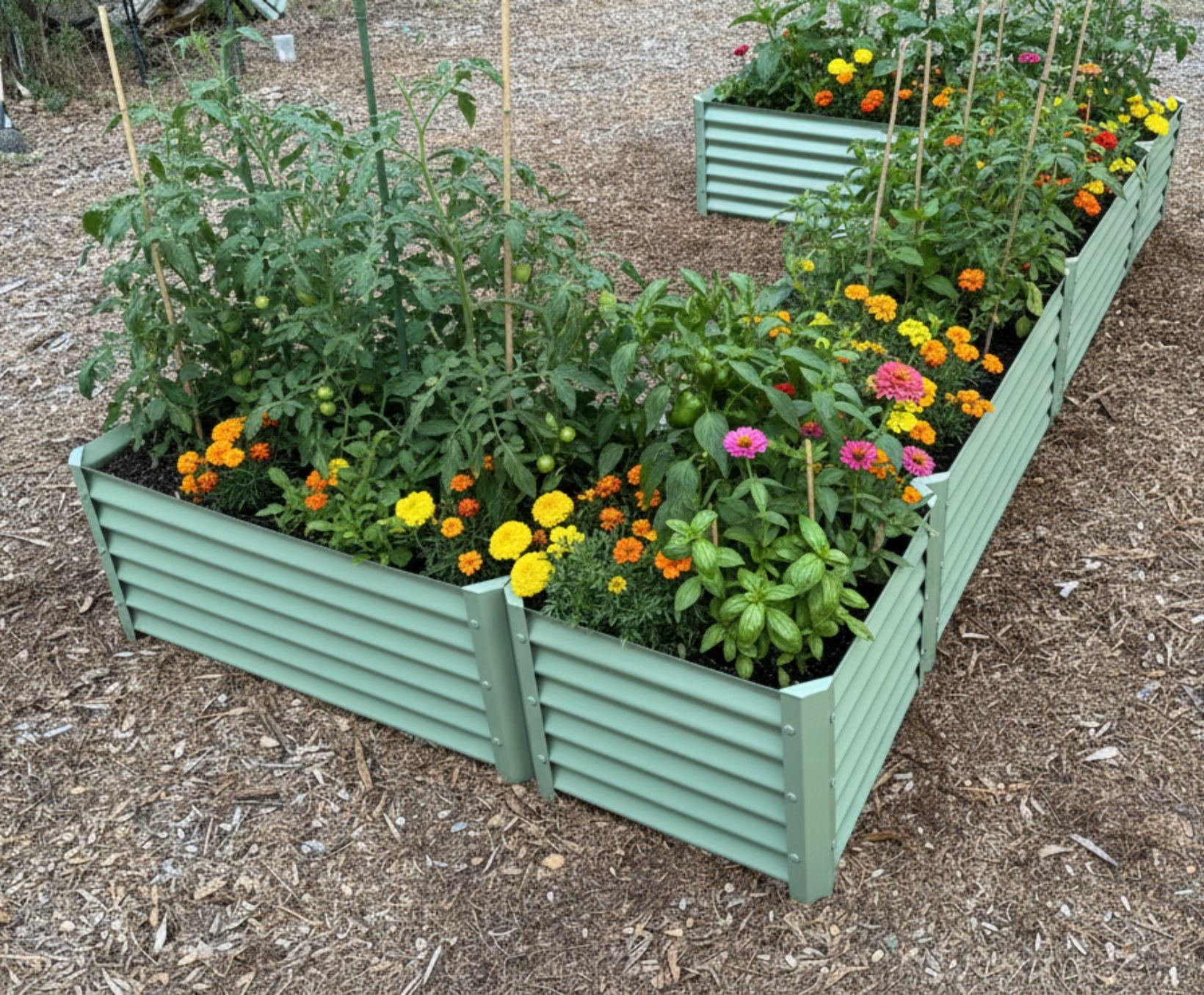 narrow sage wide u enhanced