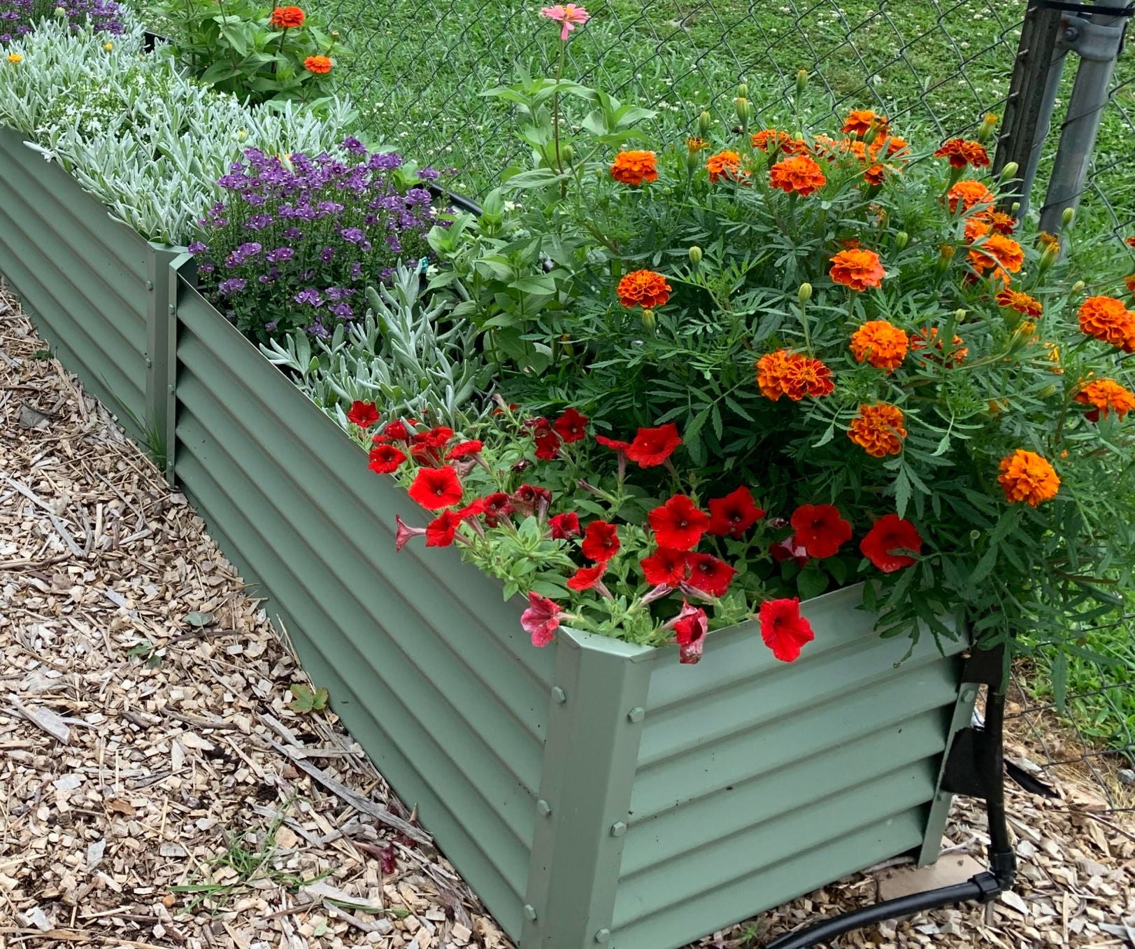 NARROW SAGE ZAPALLO – Metal Garden Beds, Inc.