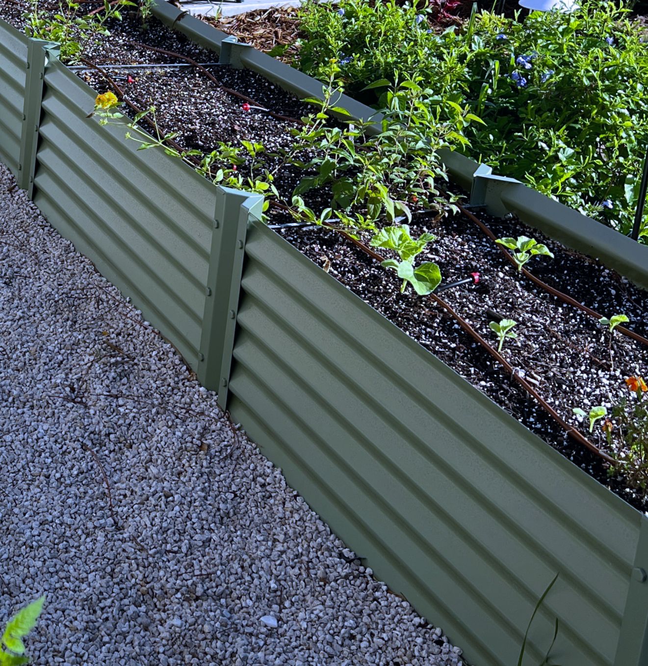 NARROW SAGE ZAPALLO – Metal Garden Beds, Inc.