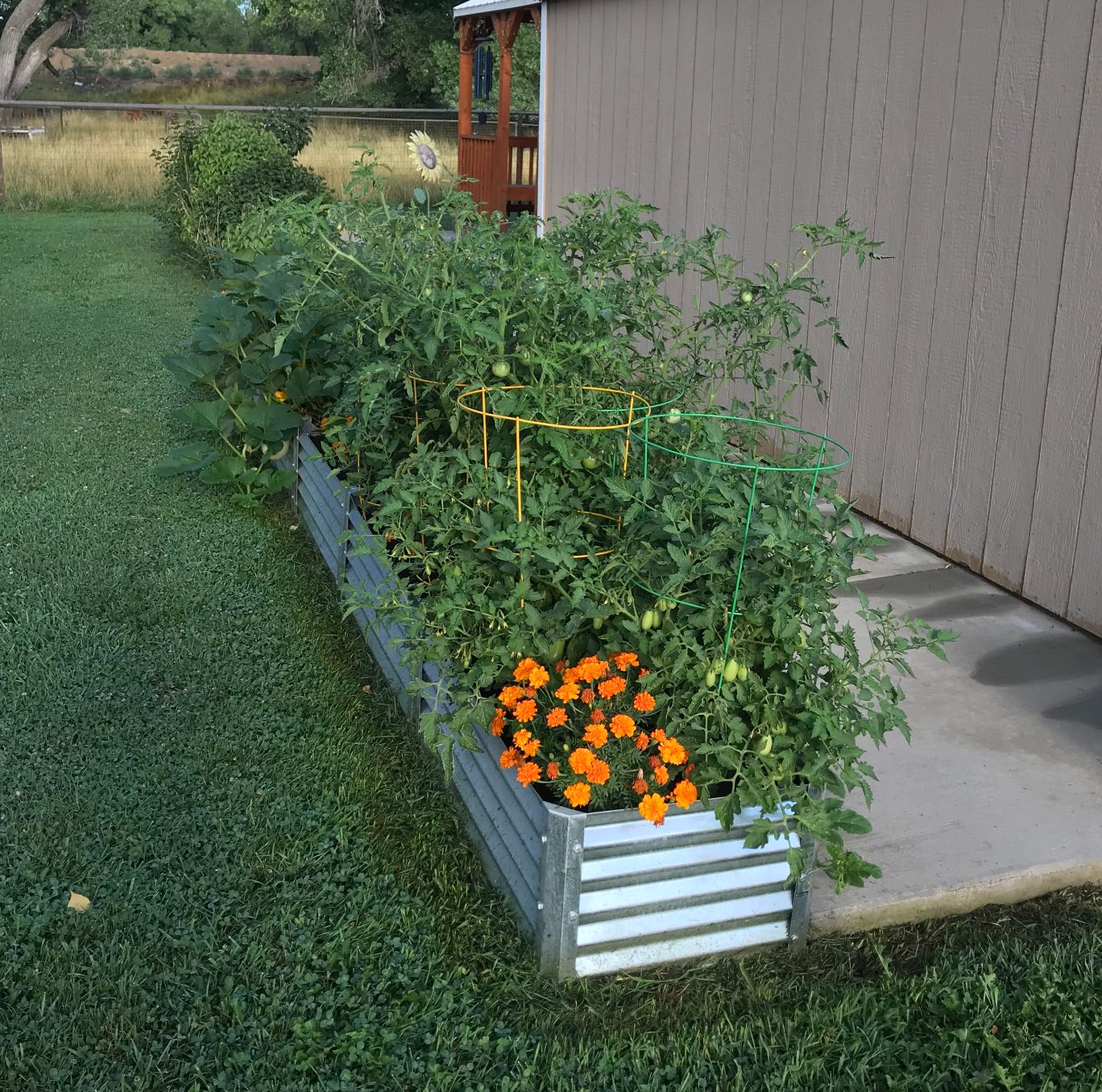 narrow sandia alt view 1