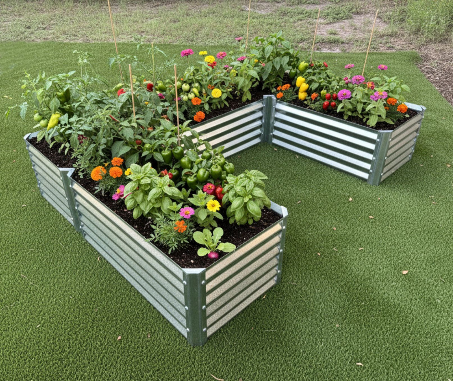 narrow u enhanced view