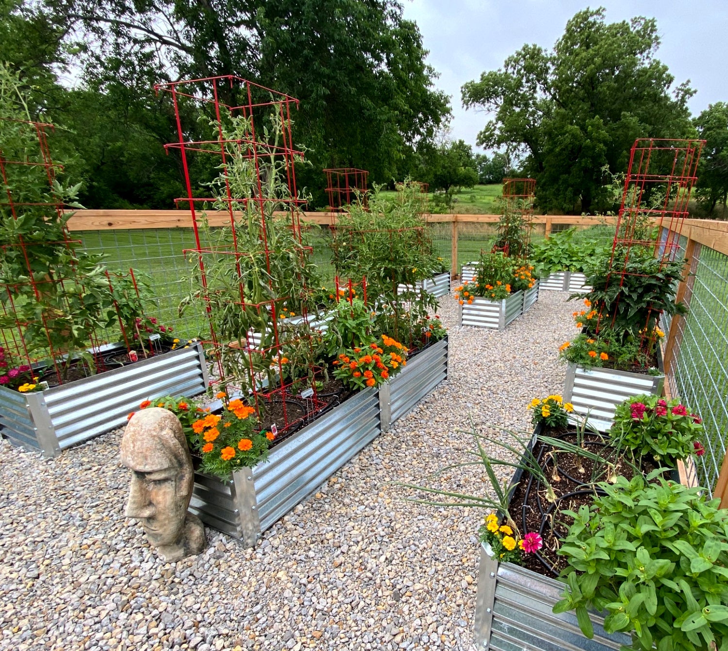 narrow grande raised garden beds with marigolds, zinnias, peppers