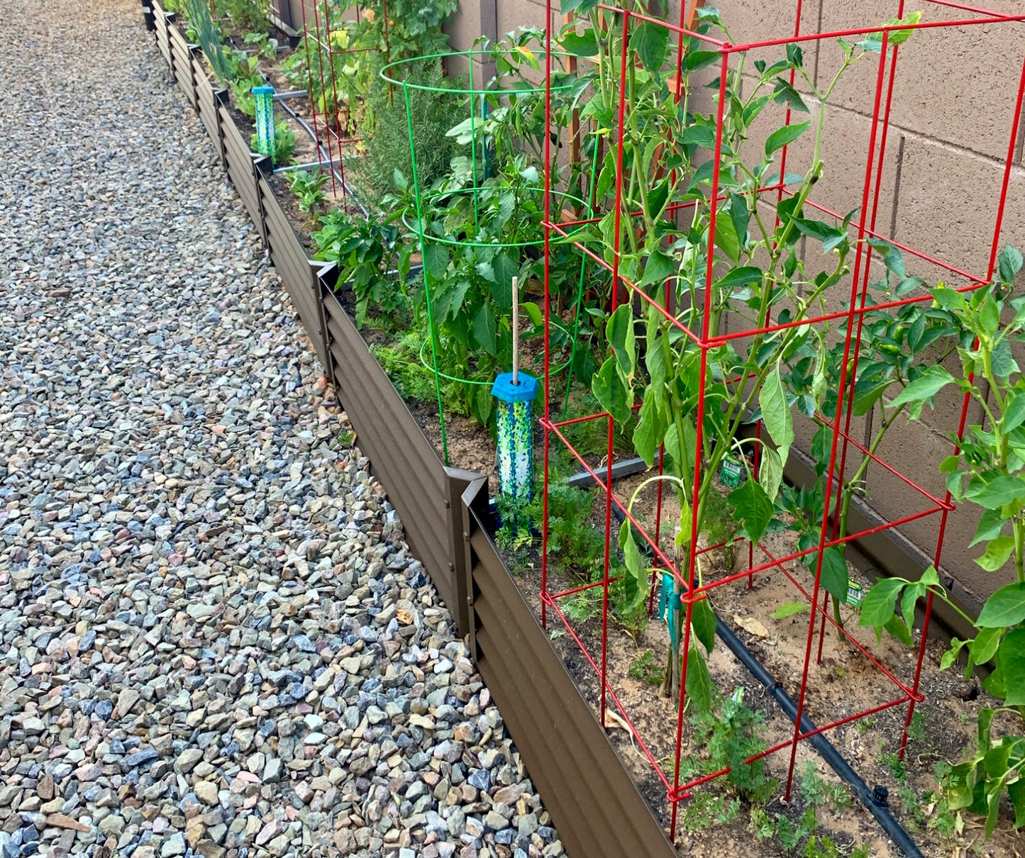 narrow rustic extenders used in side yard to create long narrow rustic garden bed with peppers