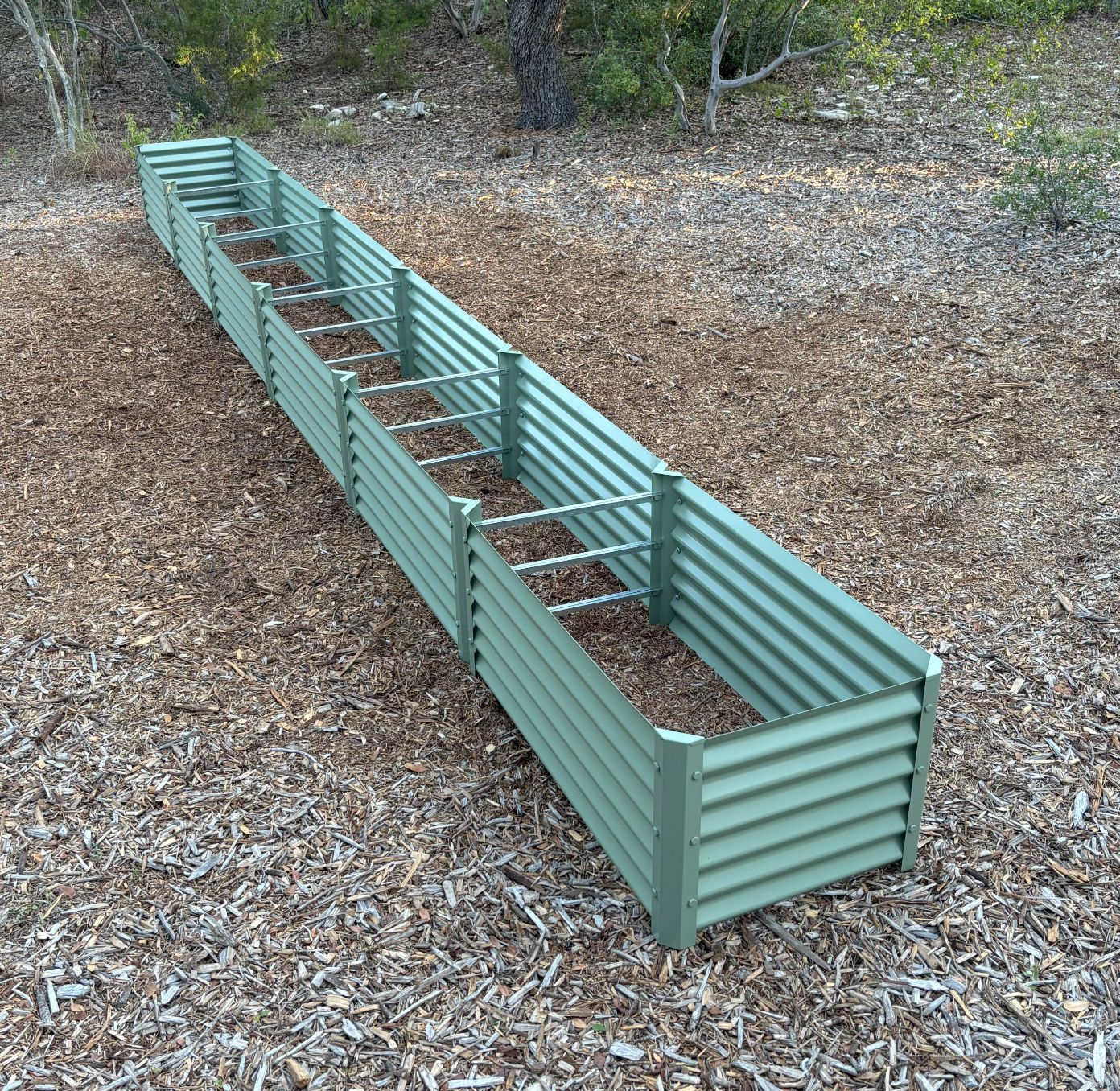 narrow sage zapallo garden bed