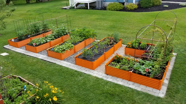 orange garden beds
