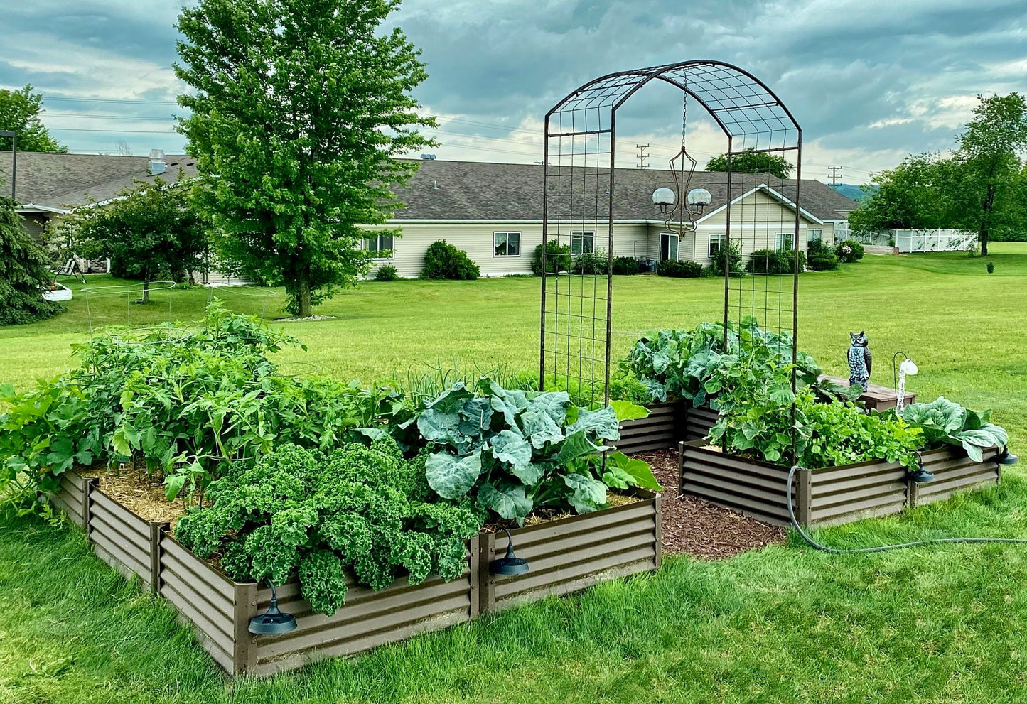 rustic completo alt view 1