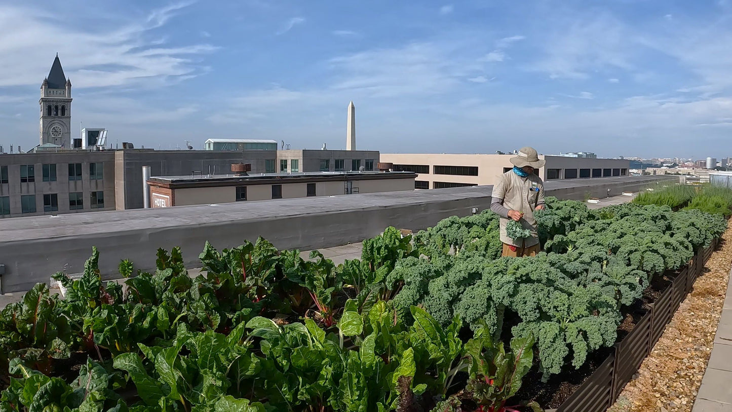 rustic extender alt view 1