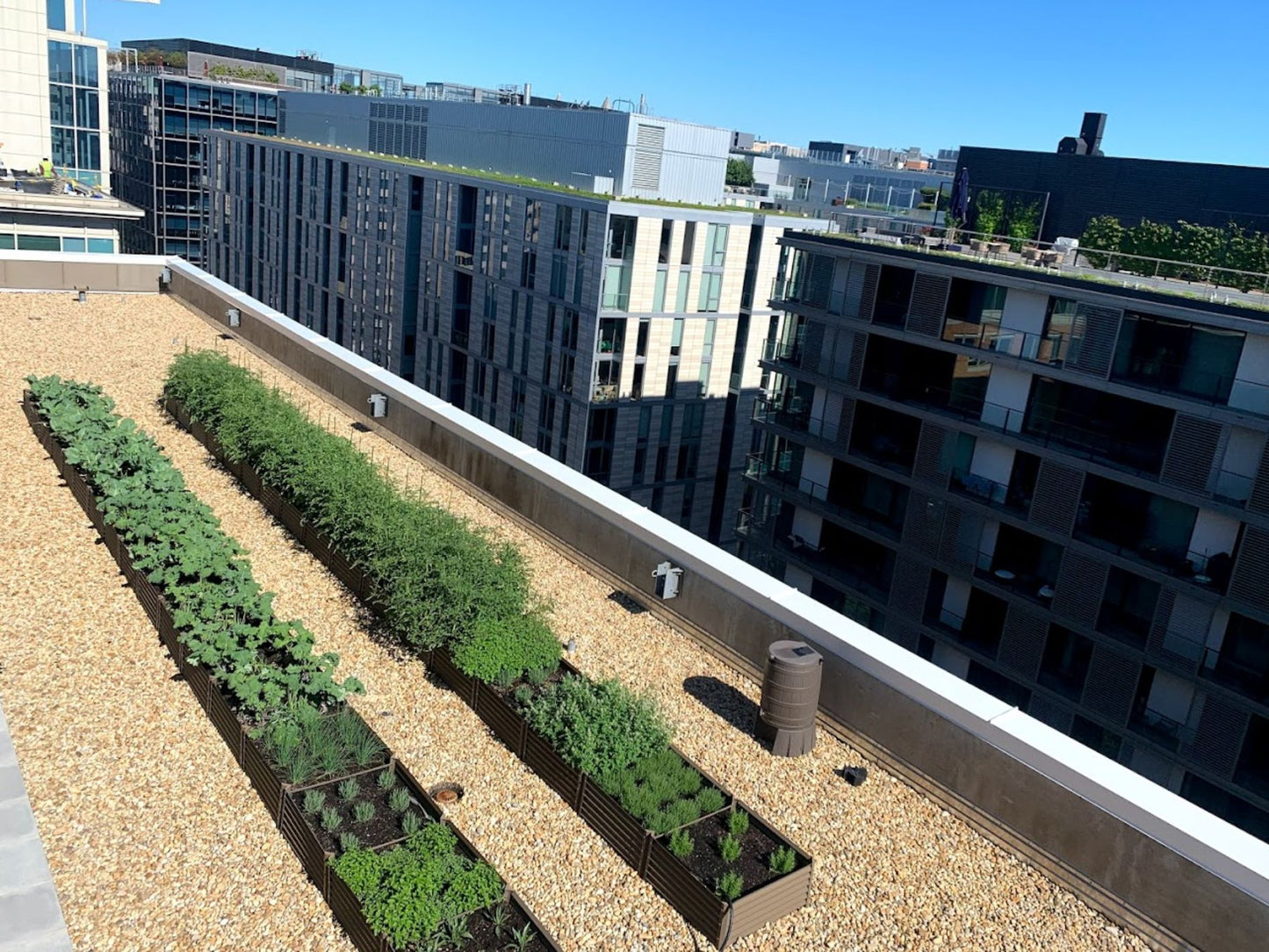 rustic extenders alt view 2